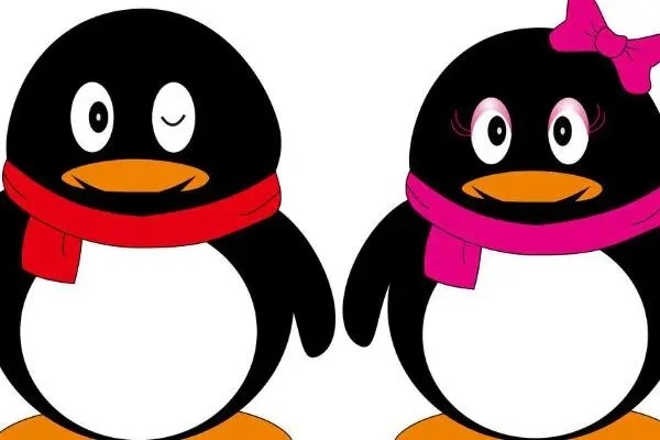 qq靓号购买-在QQ会员里刚买的QQ靓号忘记账号了怎么办？