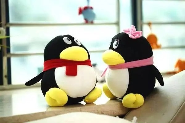 怎么申请五位QQ号？